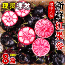 Fresh red fruits ginseng 125g boxes Yunnan Spider fruit rare fruit should be now taken off cosmetic fruit whole box