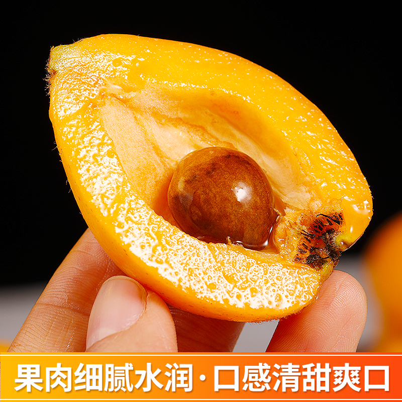 云南蒙自甜枇杷5斤新鲜水果当季长虹琵琶止咳枇杷树上熟大果包邮3