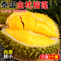 Thai gold pillow durian 10 catty of fresh fruit when season whole case imported balm durian meat frozen one whole