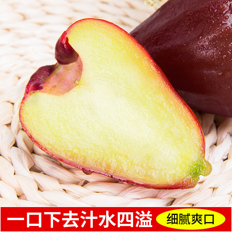 顺丰海南黑金刚莲雾5斤新鲜水果当季现摘正宗红宝石连雾果树上熟3,淘宝优惠券,粉丝福利购,淘宝优惠卷