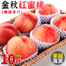 Golden Autumn Red Honey Peach Fruit Fresh When Season 10 catfish Order makes now off the open air honey peach crisp and sweet.