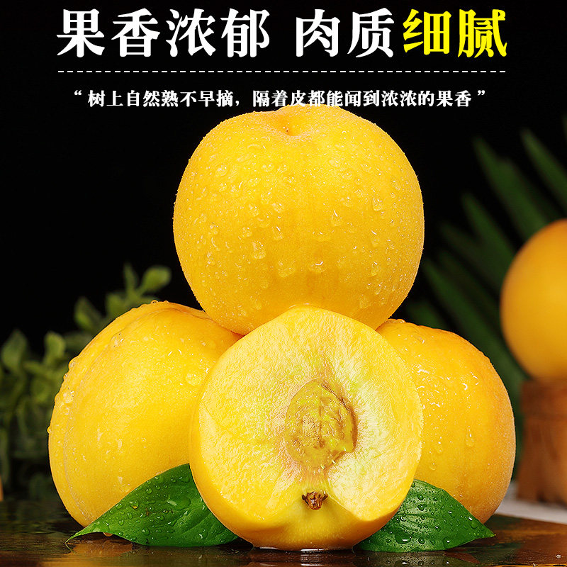 正宗砀山黄桃新鲜大桃当季现摘脆软甜蜜桃黄肉毛桃子时令水果整箱