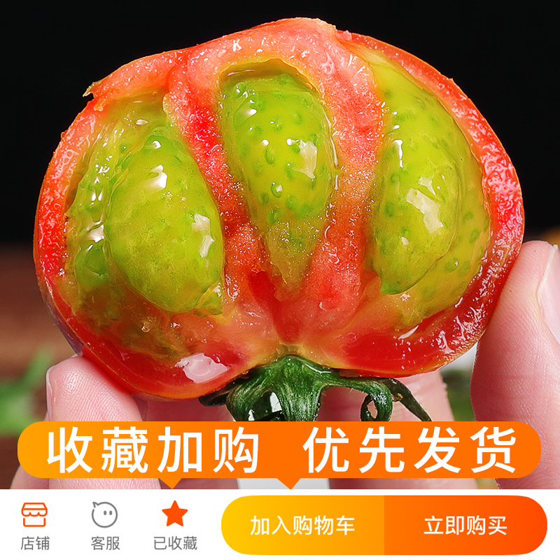 铁皮草莓柿子5斤自然熟生吃新鲜西红柿当季即食绿腚番茄水果包邮3