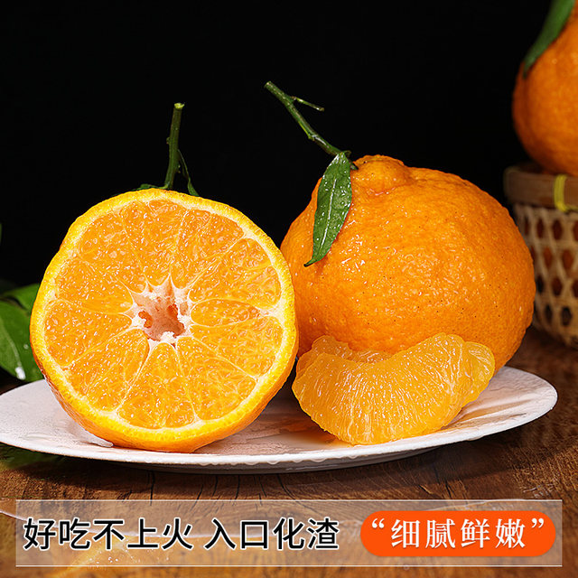 Authentic Sichuan Shiranui Ugly Orange