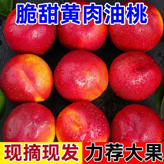 新鲜曙光黄心油桃湖北农家桃子硬脆甜孕妇水果现摘现发5斤装包邮 - 图1