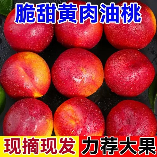 新鲜曙光黄心油桃湖北农家桃子硬脆甜孕妇水果现摘现发5斤装包邮-图1