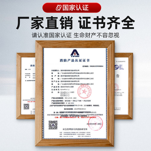 4kg悬挂式干粉灭火器6公斤自动灭火装置超细8kg10kg消防宫灯吊球 - 图0