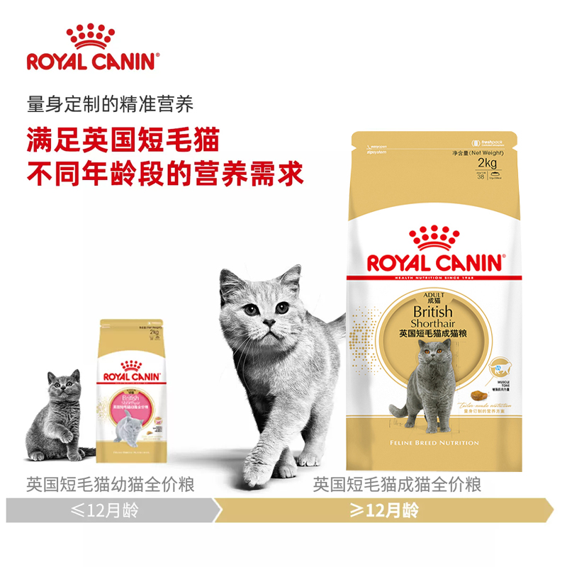 皇家bs34英短成猫粮营养增肥发腮护心明目蓝猫渐层专用全价粮2kg - 图1