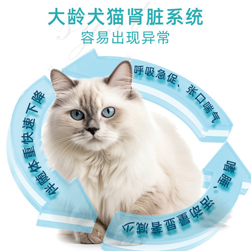 澳滋麦安肽活宠物狗猫胺肾衰停透活急慢性肾衰竭炎降磷肌酐尿素氮 - 图1