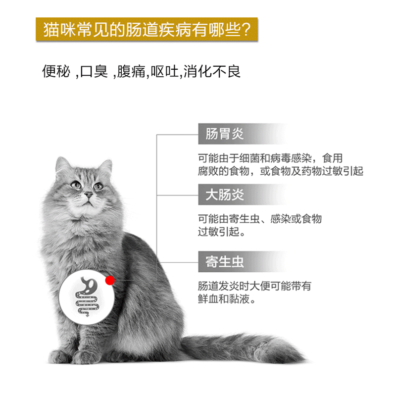 皇家FR31成猫优纤易消化处方粮软便秘拉稀呕吐助消化调理肠道猫粮 - 图2