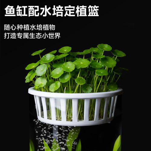 圆柱体鱼缸创意小型客厅桌面加厚玻璃金鱼家用生态缸造景水族箱 - 图3