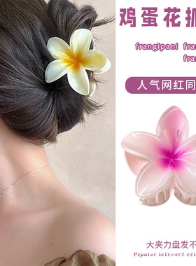 撞进海风里蜜桃粉色亚克力鸡蛋花抓夹发夹盘发花朵抓夹高级感发饰
