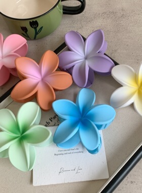 磨砂鸡蛋花抓夹发量少发饰小号鲨鱼夹后脑勺发夹半扎头饰海边发卡
