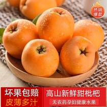 Yunnan Monself sweet loquats fresh leather thin and juicy 1 5 catties When the season is now off the pregnant woman Fruit Pipa whole box