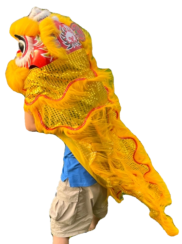 Танец льва, детский маленький львиный реквизит в детском саду, реквизит для выступлений в китайском стиле, шерсть, пробуждение льва, ученики начальной школы, двойной одинарный