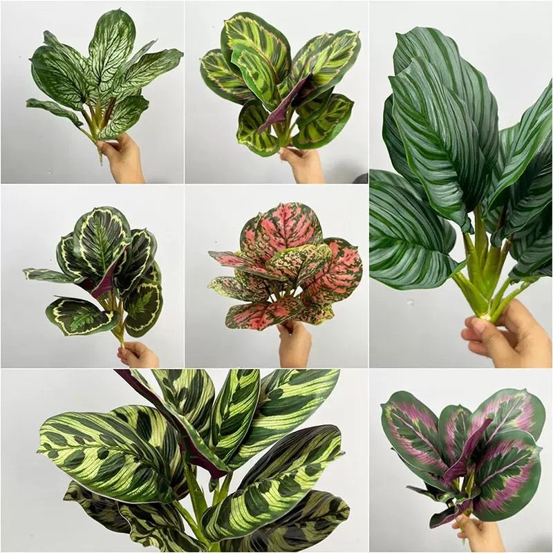 仿真植物绿植盆栽装饰植物墙配材把束过胶叶子12头芋头叶孔雀竹芋,淘宝优惠券,粉丝福利购,淘宝优惠卷