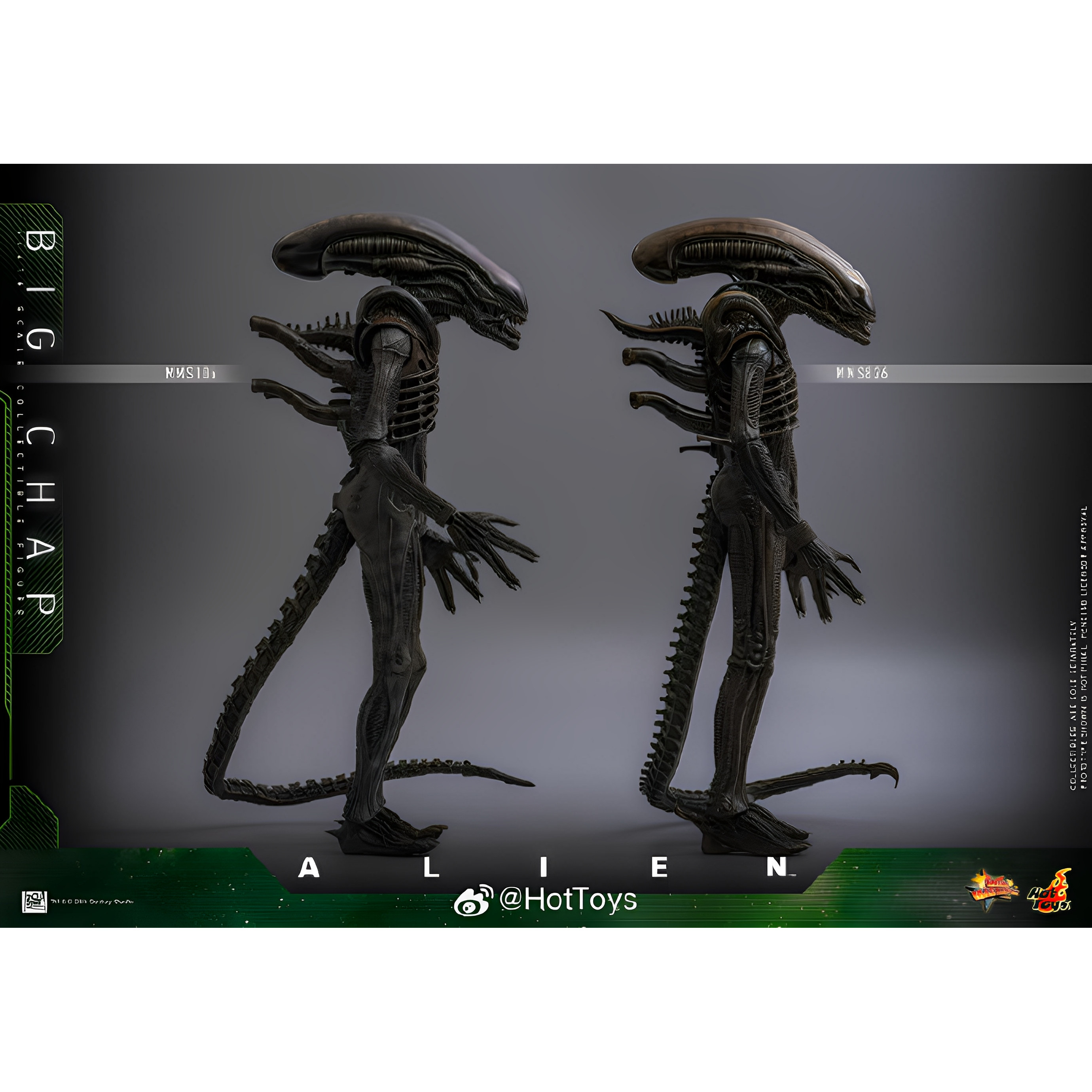 HOTTOYS HT 异形 元祖异形 MMS826 1/6 可懂人偶 先行接单,淘宝优惠券,粉丝福利购,淘宝优惠卷