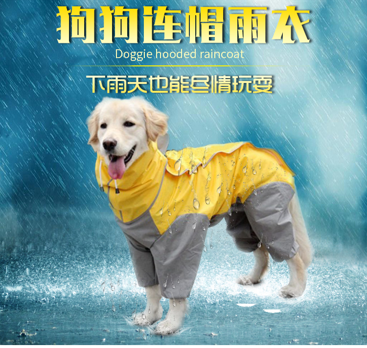 狗狗雨衣中大型犬四脚全包金毛萨摩阿拉斯加防水冲锋衣宠物雨披 - 图1