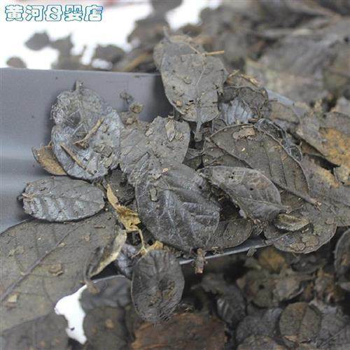 速发栗树营养液云营发酵叶兰花栽培基质土植料耳叶腐叶土种植质料,淘宝优惠券,粉丝福利购,淘宝优惠卷