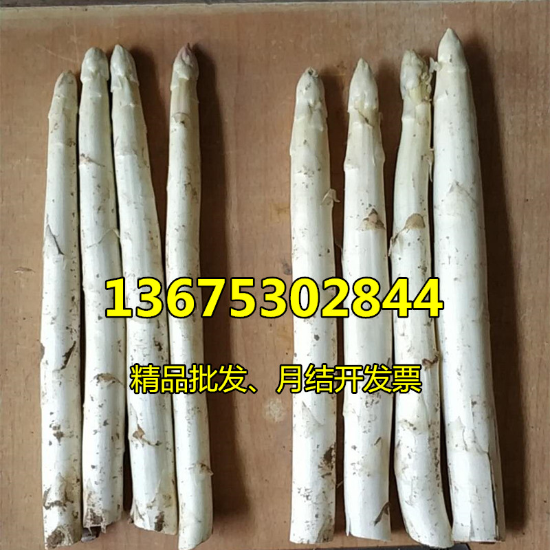 顺丰包邮特粗大白芦笋新鲜蔬菜2.0-2.5cm西餐厅专用整箱酒店精品 - 图0