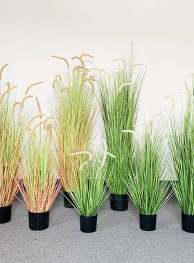 速发造植猫狗景巴草室内草垛芦苇布置美陈摆件道具场尾装饰绿景