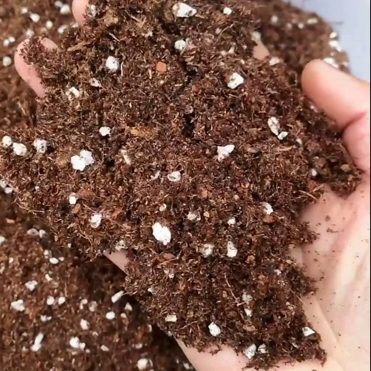 大包椰糠泥炭营养土家庭园艺肥料通用型多肉种花种菜绿萝土种植土,淘宝优惠券,粉丝福利购,淘宝优惠卷