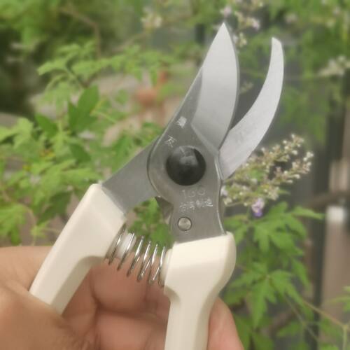 台湾农友130省力修枝剪刀果树剪枝剪花花艺园艺剪子防滑修枝剪 - 图1