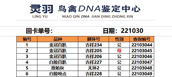 灵羽鸟禽DNA鉴定验卡玄凤牡丹虎皮全鹦鹉柯尔鸭鸽子性别检验检测-图1