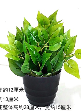 仿真绿植红掌假花一品红圣诞花