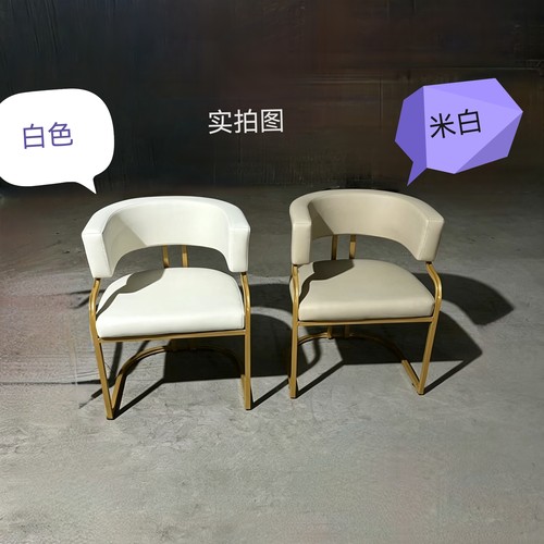高级轻奢餐椅美容院接待化妆椅高档单人沙发椅美甲店顾客专用椅子 - 图2