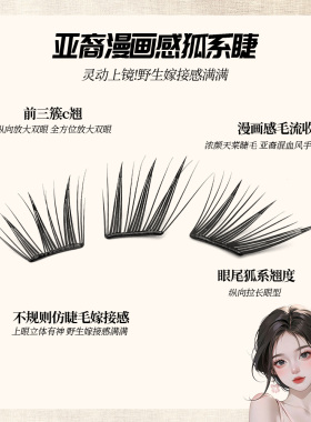 颖睫不朽流年狐系自然仿真单簇睫
