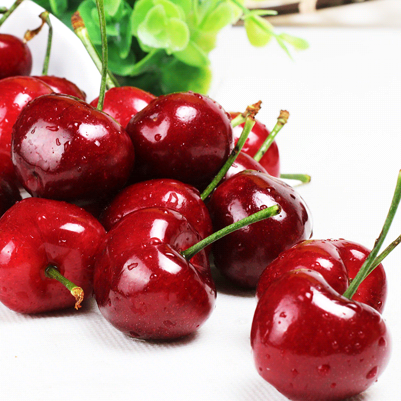 九岭夼山东大樱桃车厘子大连美早孕妇水果新鲜当季整箱5顺丰3烟台助农102