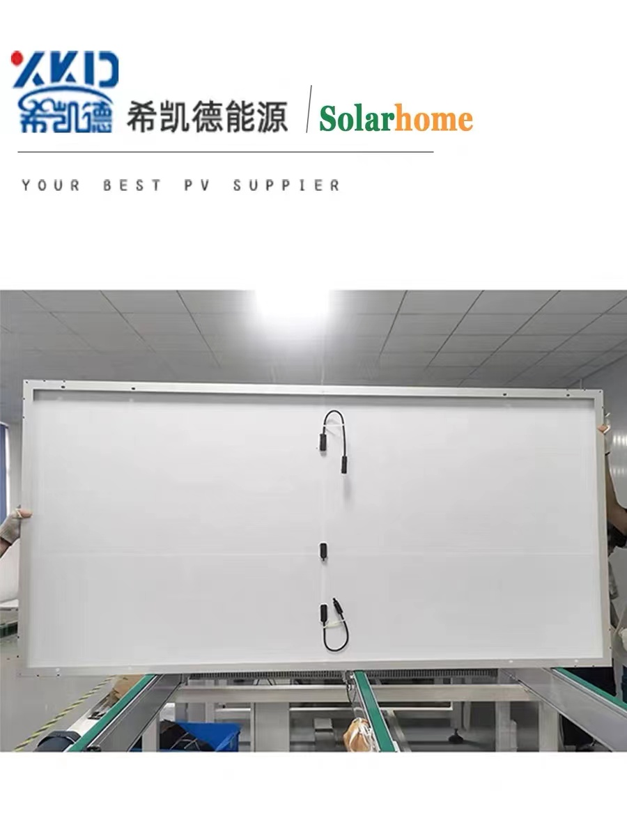 工厂直营并网单晶200W450W540W585W太阳能发电家用12V/24V充电 - 图1