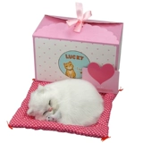 Кукла, модель животного, плюшевая игрушка, кот, котенок, подарок на день рождения