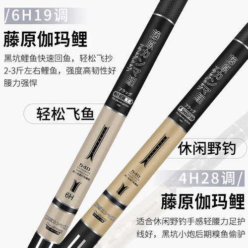 伽玛鲤鱼竿4H28调钓鱼竿碳素超轻超硬6H19调鱼竿手竿鱼杆手杆套装 - 图1