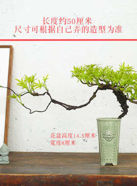 免打理盆景仿真绿植盆景