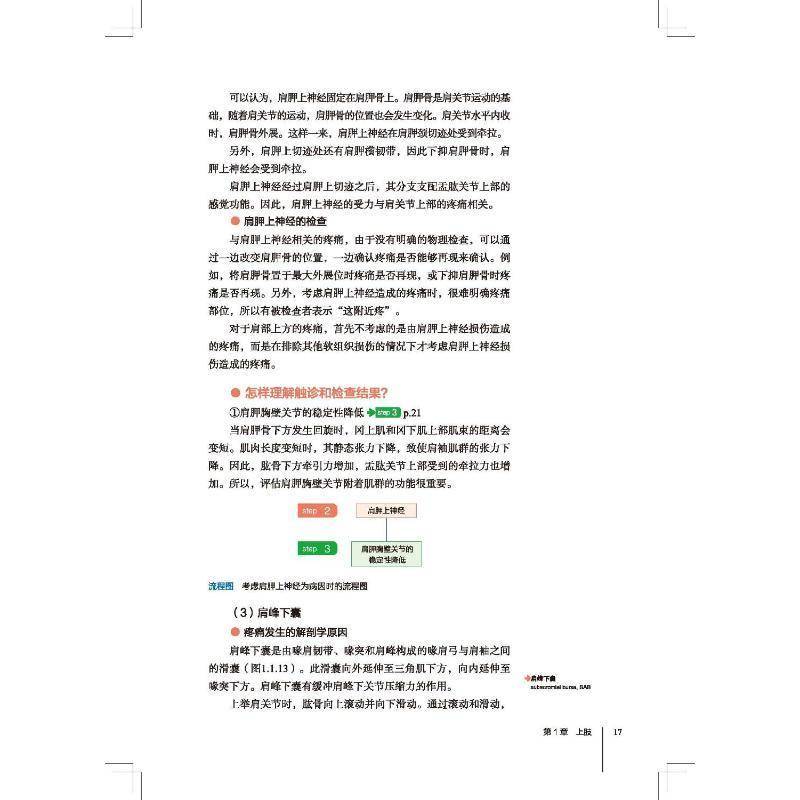 运动功能障碍原因及评估技巧 各个关节临床常见得各种疼痛从而做出正确评估 颈部和胸腰部 工藤慎太郎编著 北京科学技术出版社
