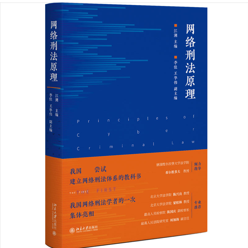 2022新书 网络刑法原理 江溯 精装 网络刑法的理论学说 法律规范和司法判例 北京大学出版社 9787301329764 - 图3