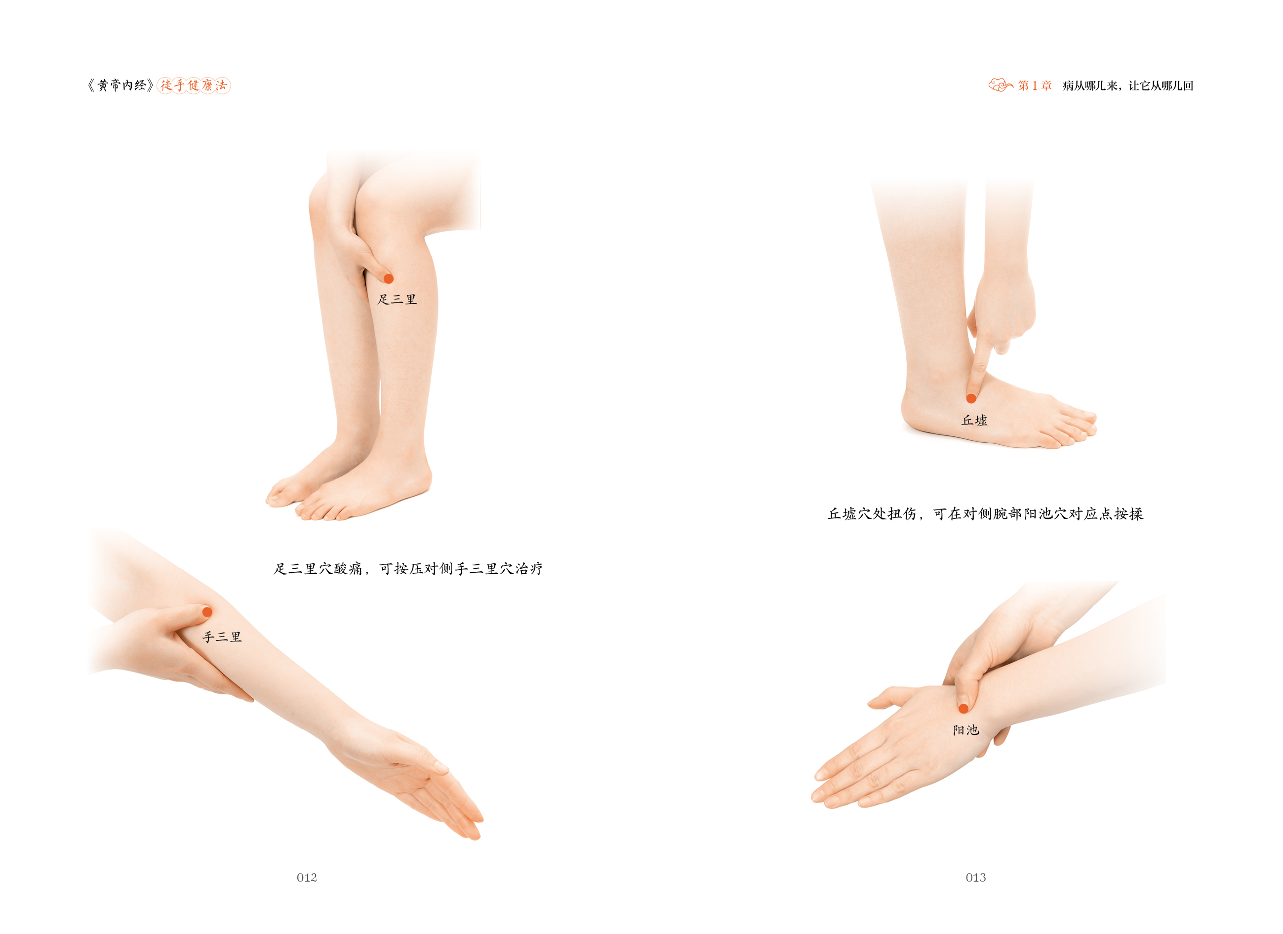 黄帝内经 徒手健康法 养生堂武国忠 推拿按摩手法拔罐艾灸手到病自除做自己家庭医生穴位徒手诊病法意拳功法养生功 中医养生书籍 - 图1