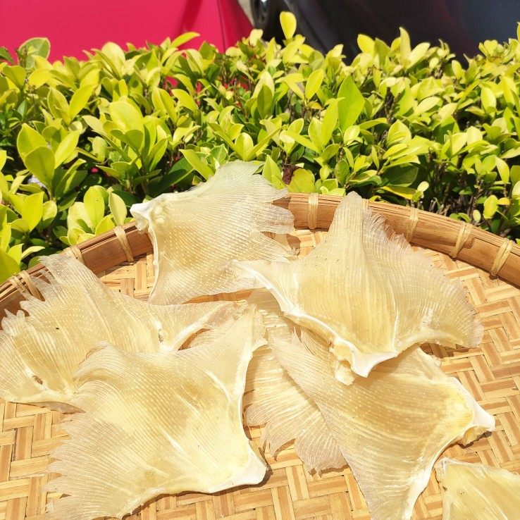 北海深海大号海狗翅浦鱼软骨翅煲汤料天星翅肉翅送礼干货500g,淘宝优惠券,粉丝福利购,淘宝优惠卷