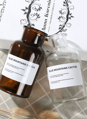 ins透明花瓶玻璃北欧风花瓶复古大口绿萝干花花瓶桌面家居摆件批