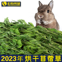 Drying Clover Grass 2023 New Grass Rabbit Feed Guinea Pig Dragon Cat Food Dutch Pig Rabbit Grain Young Rabbit hay pasta hay