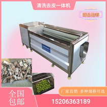 Sea Oysters Raw Oyster Pig Hooded Pork Hooded Pork Hooch Commercial Yam Horseshoe Sweet Potato Ground Melon Lotus Root Wool Roll Cleaner