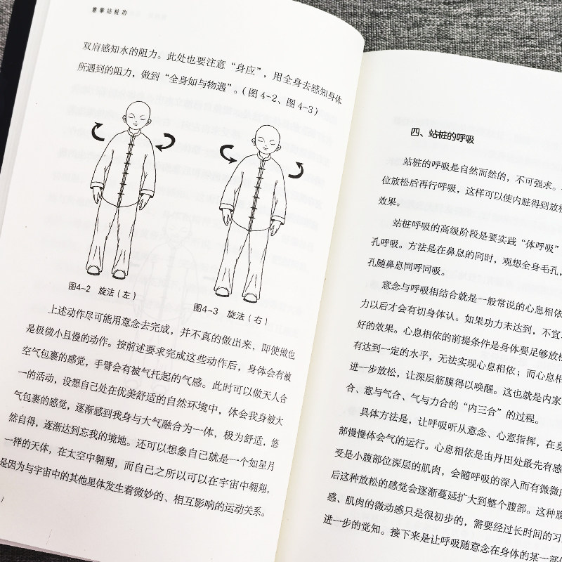 意拳站桩功正版 意拳传人赵钢著 大成拳养生功法站桩养生法 形意拳内家拳武学经典 王芗斋站桩功拳学教程书籍意拳养生站桩功书,淘宝优惠券,粉丝福利购,淘宝优惠卷