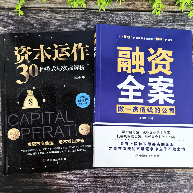 正版2册 融资全案做一家值钱的公司 资本运作30种模式与实战解析 王永红著 商业模式是设计出来的 公司股权架构激励企业管理类书籍