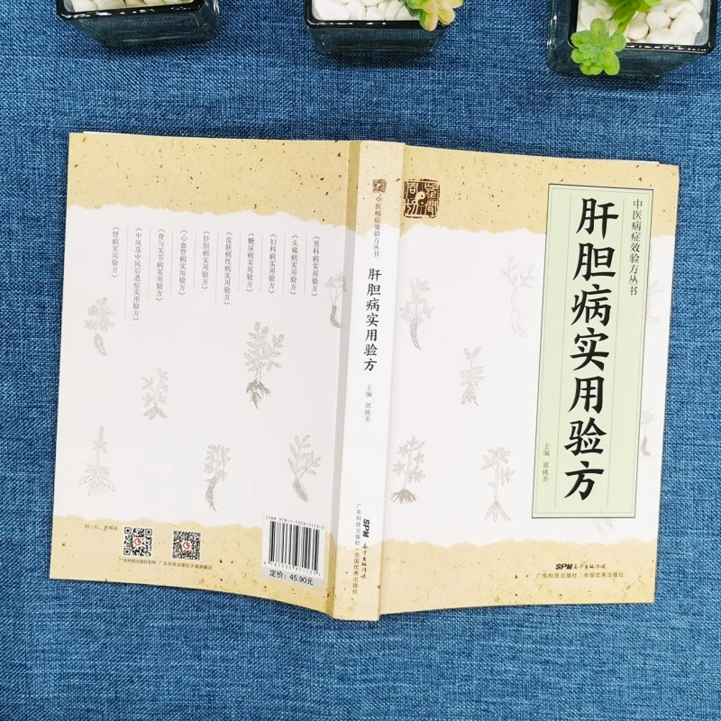 正版 肝胆病实用验方 中医病症效验方书 奇效验方验方新编 急性黄疸性肝炎 甲型乙型肝炎病毒携带者乙型肝炎等16种肝胆病妙方书籍 - 图0