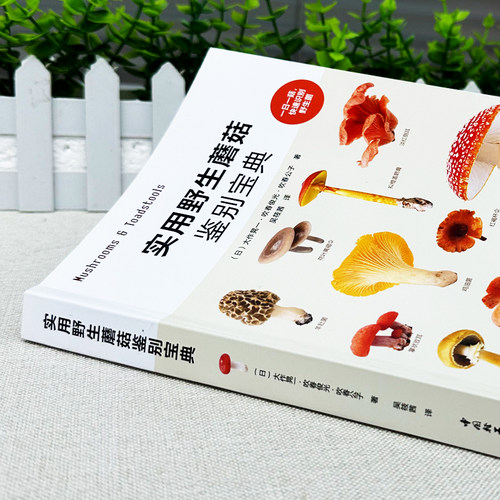 实用野生蘑菇鉴别宝典大作晃一吹春俊光野生蘑菇使用图鉴蘑菇种类大全食用蘑菇菌菇松茸菌类野生菌类识别方法常见毒蘑菇辨别方法书 - 图0