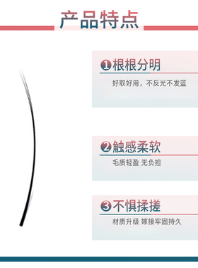 初睫EA12排单根嫁接假睫毛