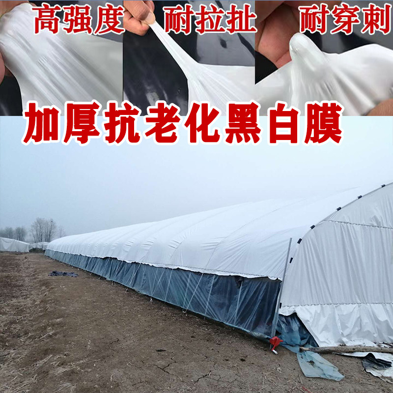 全新料白膜加厚大棚塑料膜长寿无滴膜种植高透光保温消雾防水PO膜,淘宝优惠券,粉丝福利购,淘宝优惠卷