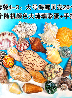 天然海螺贝壳海星鱼缸造景装饰
